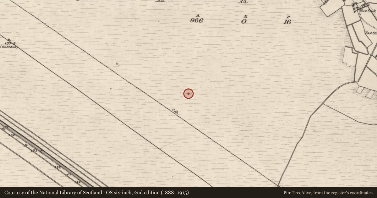 Ordnance Survey six-inch map, 2nd edition (1888–1915) covering the location of Road - class 3 togher, Carta, County Galway, with a pin at the register's coordinates