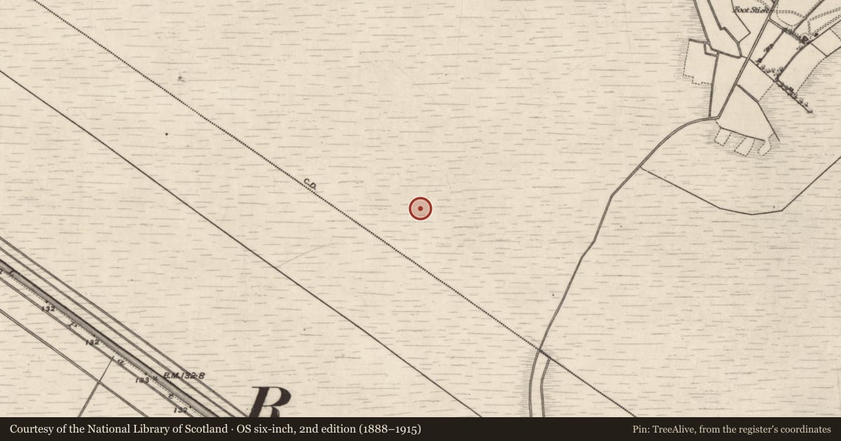 Ordnance Survey six-inch map, 2nd edition (1888–1915) covering the location of Road - class 3 togher, Carta, County Galway, with a pin at the register's coordinates