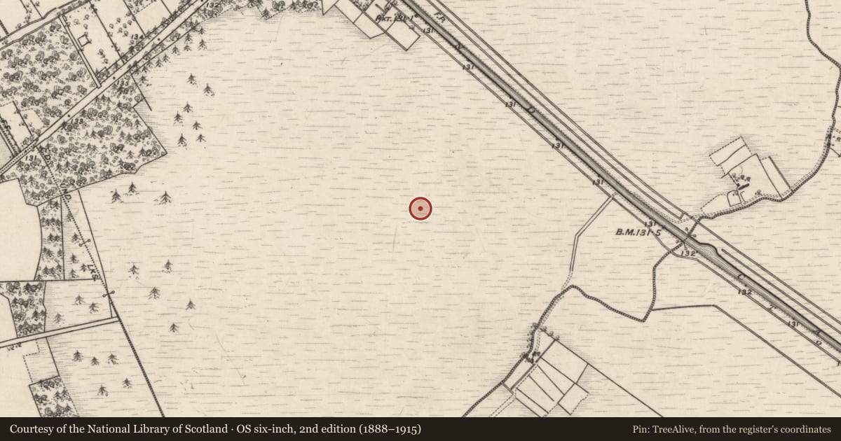 Ordnance Survey six-inch map, 2nd edition (1888–1915) covering the location of Road - class 3 togher, Clonfert (BUTSON), County Galway, with a pin at the register's coordinates