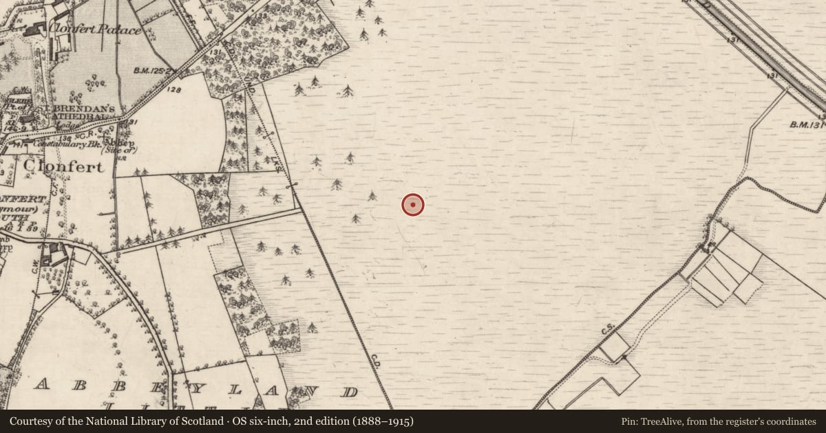 Ordnance Survey six-inch map, 2nd edition (1888–1915) covering the location of Road - gravel/stone trackway - peatland, Clonfert (BUTSON), County Galway, with a pin at the register's coordinates