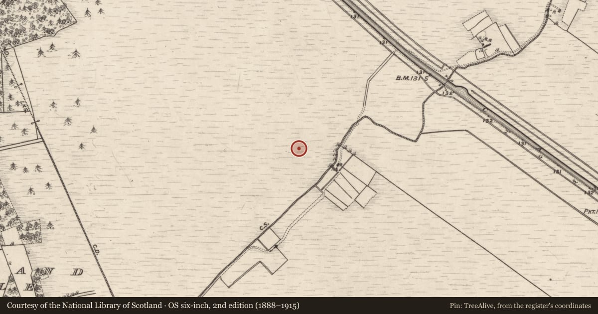 Ordnance Survey six-inch map, 2nd edition (1888–1915) covering the location of Structure - peatland, Clonfert (BUTSON), County Galway, with a pin at the register's coordinates