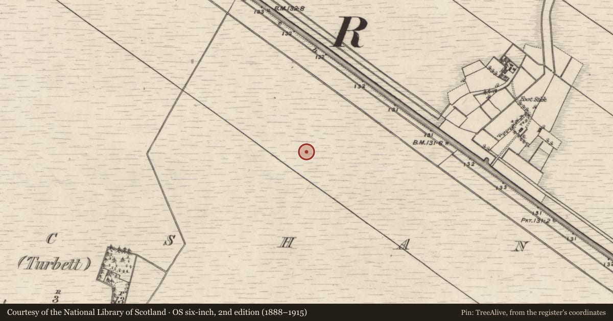 Ordnance Survey six-inch map, 2nd edition (1888–1915) covering the location of Road - class 2 togher, Kilmacshane (Turbett), County Galway, with a pin at the register's coordinates