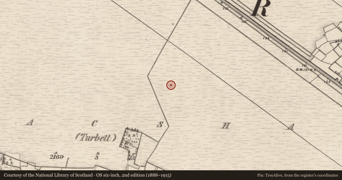 Ordnance Survey six-inch map, 2nd edition (1888–1915) covering the location of Road - class 2 togher, Kilmacshane (Turbett), County Galway, with a pin at the register's coordinates