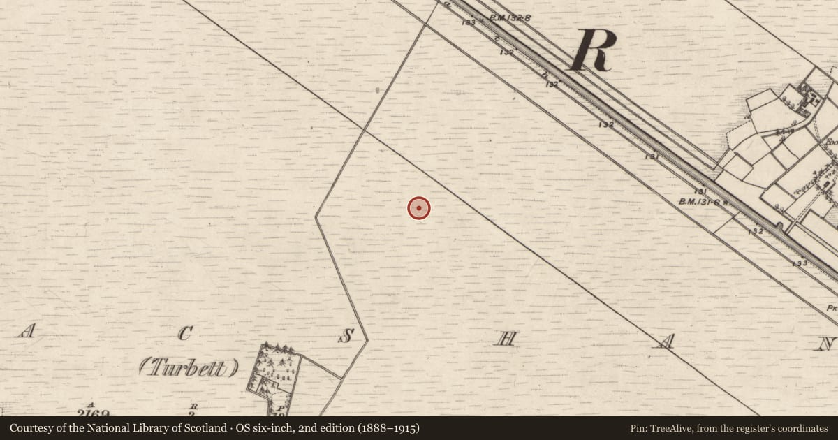 Ordnance Survey six-inch map, 2nd edition (1888–1915) covering the location of Road - class 3 togher, Kilmacshane (Turbett), County Galway, with a pin at the register's coordinates