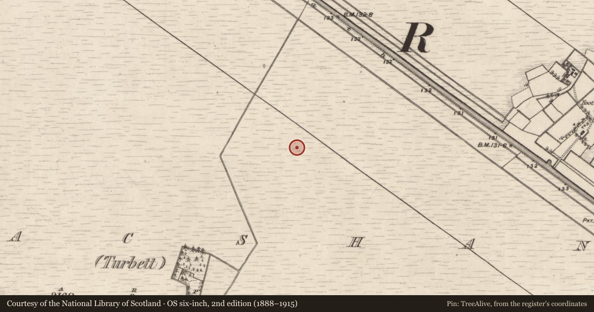 Ordnance Survey six-inch map, 2nd edition (1888–1915) covering the location of Structure - peatland, Kilmacshane (Turbett), County Galway, with a pin at the register's coordinates