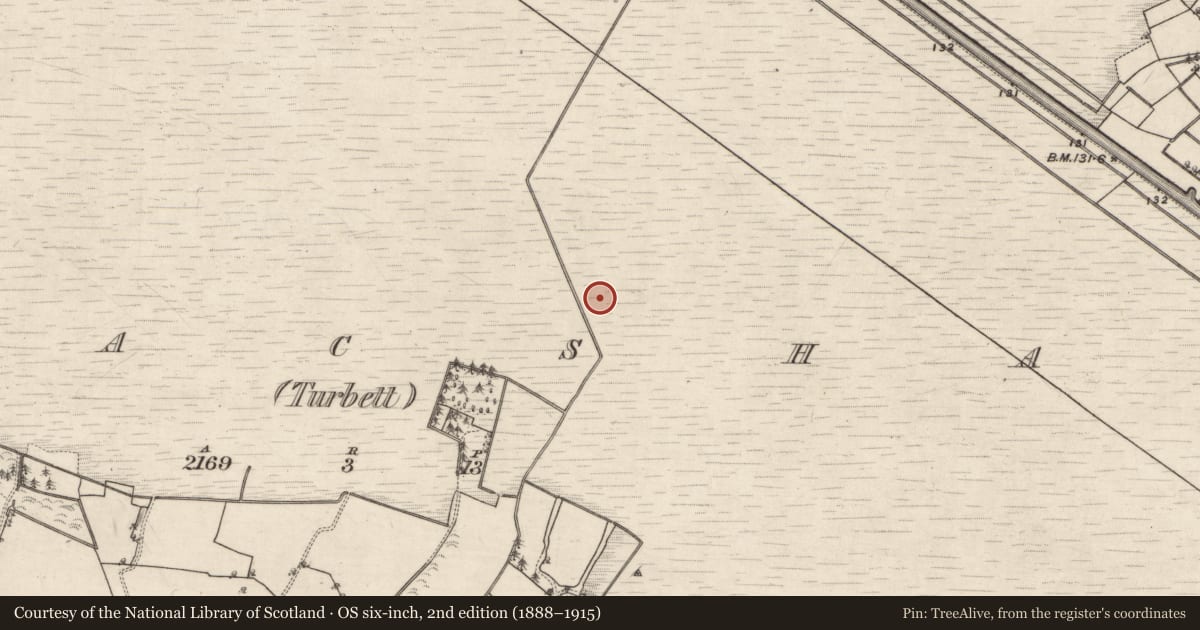 Ordnance Survey six-inch map, 2nd edition (1888–1915) covering the location of Structure - peatland, Kilmacshane (Turbett), County Galway, with a pin at the register's coordinates