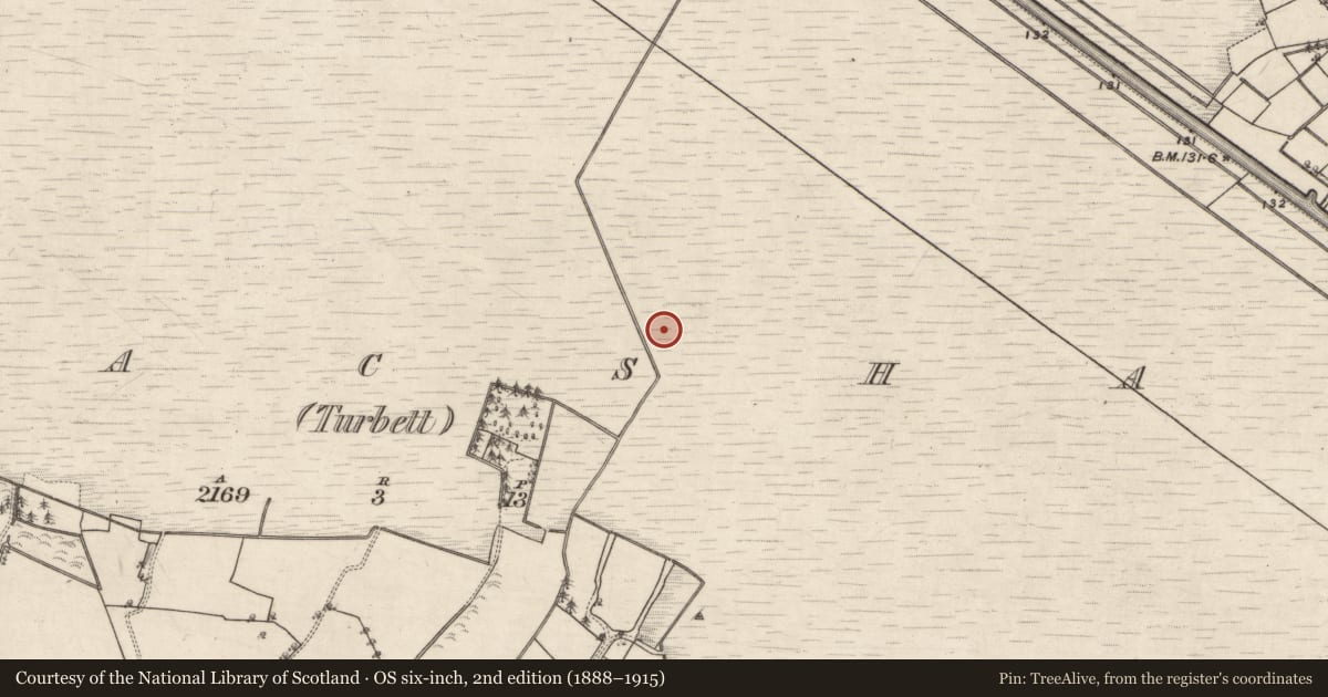 Ordnance Survey six-inch map, 2nd edition (1888–1915) covering the location of Road - class 3 togher, Kilmacshane (Turbett), County Galway, with a pin at the register's coordinates