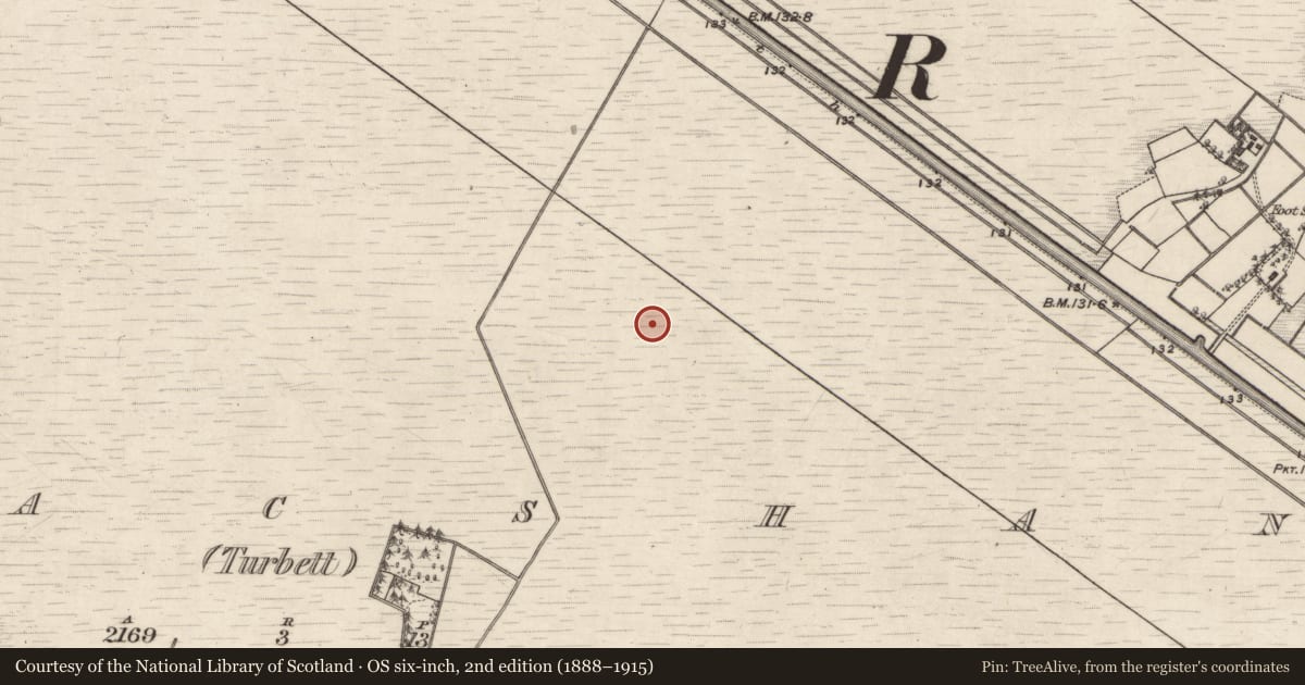 Ordnance Survey six-inch map, 2nd edition (1888–1915) covering the location of Road - class 2 togher, Kilmacshane (Turbett), County Galway, with a pin at the register's coordinates