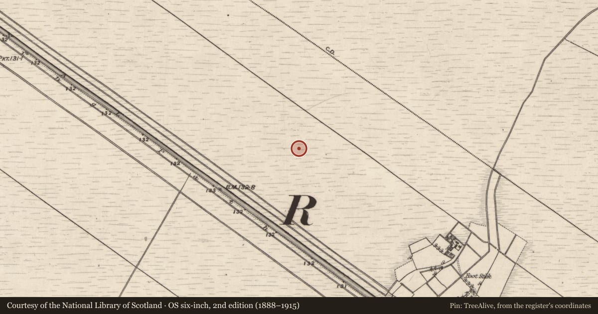 Ordnance Survey six-inch map, 2nd edition (1888–1915) covering the location of Road - class 1 togher, Carta, Kilmacshane (Turbett), County Galway, with a pin at the register's coordinates