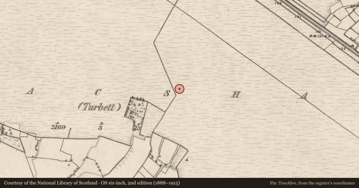Ordnance Survey six-inch map, 2nd edition (1888–1915) covering the location of Road - class 3 togher, Kilmacshane (Turbett), County Galway, with a pin at the register's coordinates