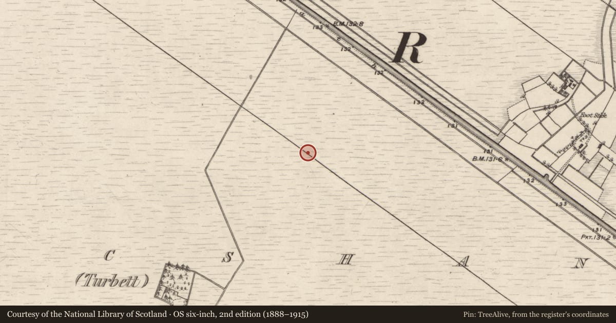 Ordnance Survey six-inch map, 2nd edition (1888–1915) covering the location of Structure - peatland, Kilmacshane (Turbett), County Galway, with a pin at the register's coordinates