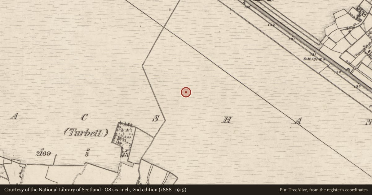 Ordnance Survey six-inch map, 2nd edition (1888–1915) covering the location of Road - class 3 togher, Kilmacshane (Turbett), County Galway, with a pin at the register's coordinates