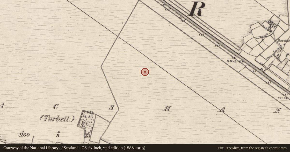 Ordnance Survey six-inch map, 2nd edition (1888–1915) covering the location of Road - class 3 togher, Kilmacshane (Turbett), County Galway, with a pin at the register's coordinates