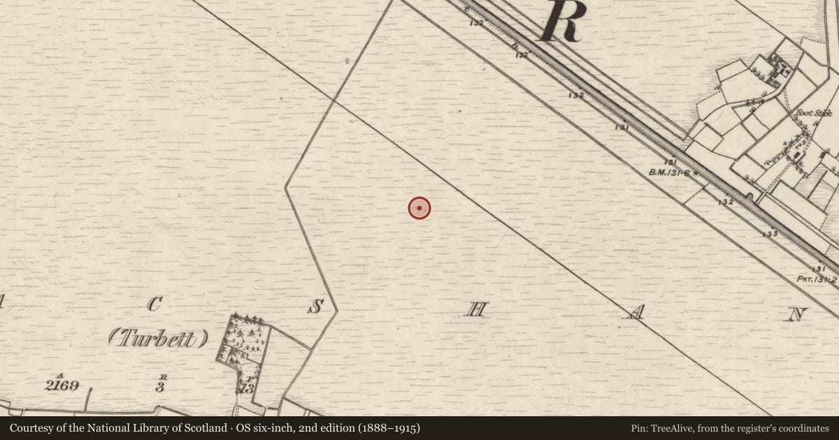 Ordnance Survey six-inch map, 2nd edition (1888–1915) covering the location of Road - class 2 togher, Kilmacshane (Turbett), County Galway, with a pin at the register's coordinates