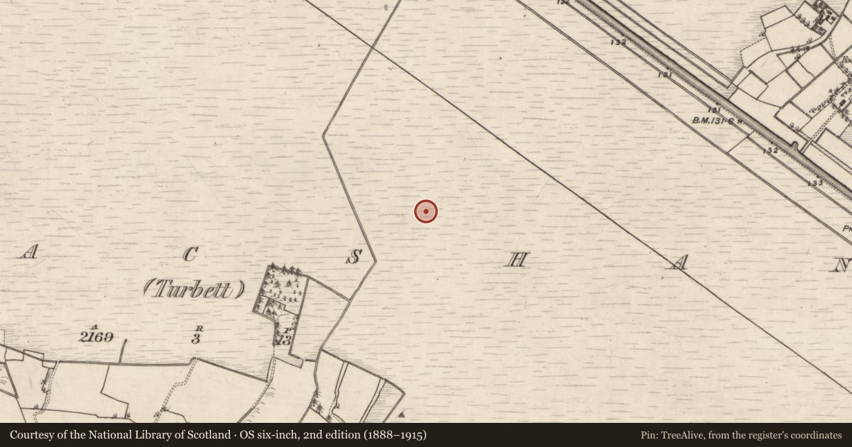 Ordnance Survey six-inch map, 2nd edition (1888–1915) covering the location of Road - class 3 togher, Kilmacshane (Turbett), County Galway, with a pin at the register's coordinates