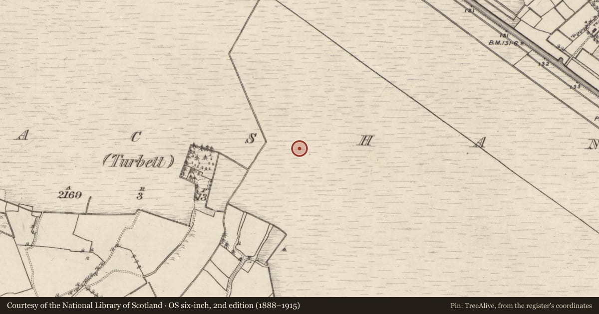 Ordnance Survey six-inch map, 2nd edition (1888–1915) covering the location of Road - class 3 togher, Kilmacshane (Turbett), County Galway, with a pin at the register's coordinates