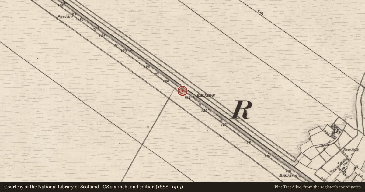Ordnance Survey six-inch map, 2nd edition (1888–1915) covering the location of Road - class 2 togher, Kilmacshane (Turbett), County Galway, with a pin at the register's coordinates