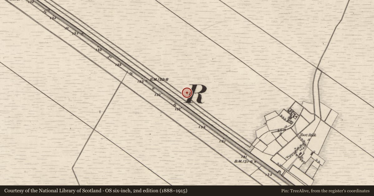 Ordnance Survey six-inch map, 2nd edition (1888–1915) covering the location of Road - class 3 togher, Kilmacshane (Turbett), County Galway, with a pin at the register's coordinates