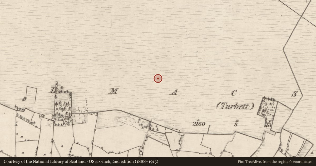 Ordnance Survey six-inch map, 2nd edition (1888–1915) covering the location of Road - class 2 togher, Kilmacshane (Turbett), County Galway, with a pin at the register's coordinates