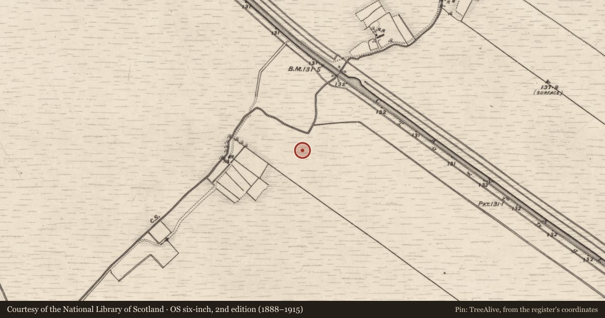 Ordnance Survey six-inch map, 2nd edition (1888–1915) covering the location of Structure - peatland, Kilmacshane (Turbett), County Galway, with a pin at the register's coordinates