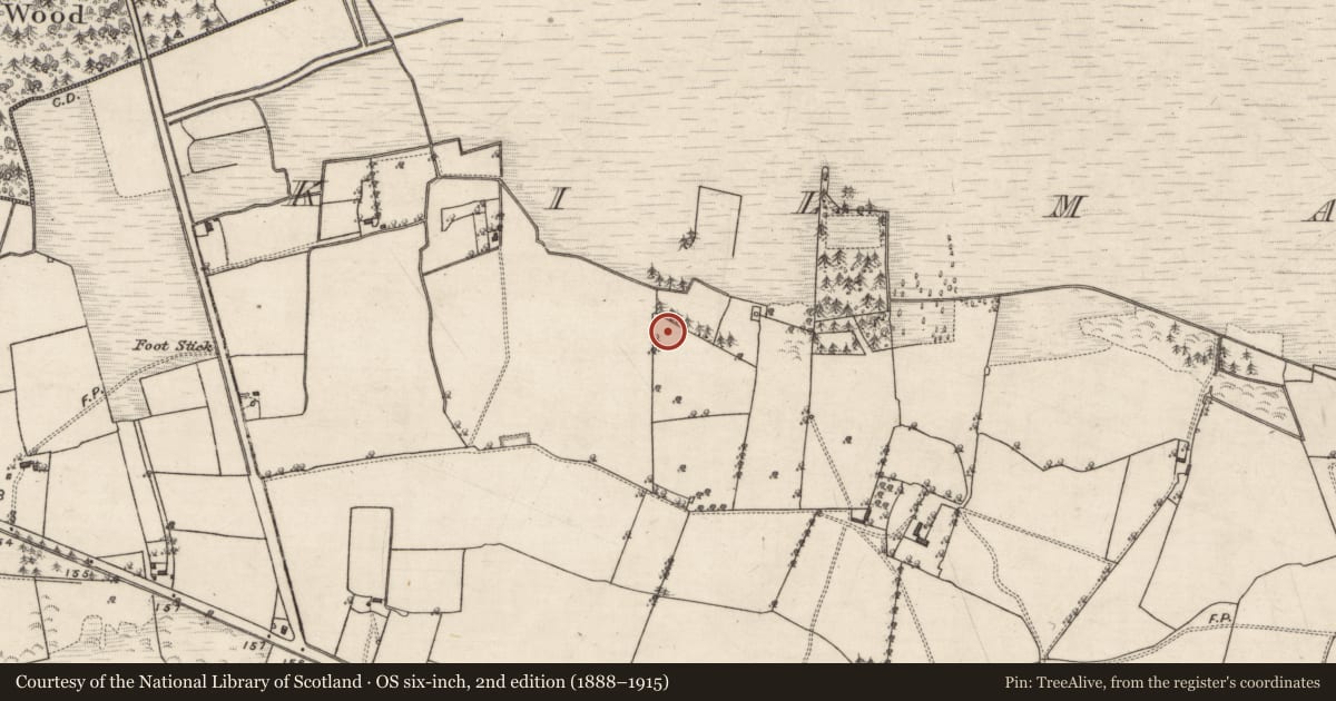 Ordnance Survey six-inch map, 2nd edition (1888–1915) covering the location of Fulacht fia, Kilmacshane (Turbett), County Galway, with a pin at the register's coordinates