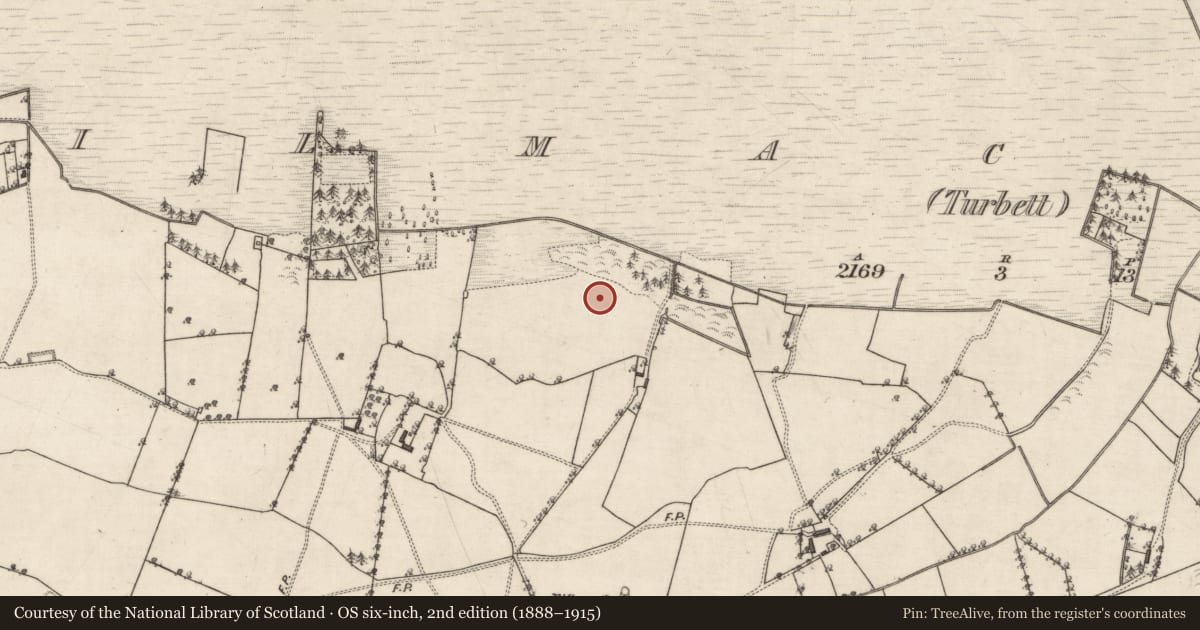 Ordnance Survey six-inch map, 2nd edition (1888–1915) covering the location of Fulacht fia, Kilmacshane (Turbett), County Galway, with a pin at the register's coordinates