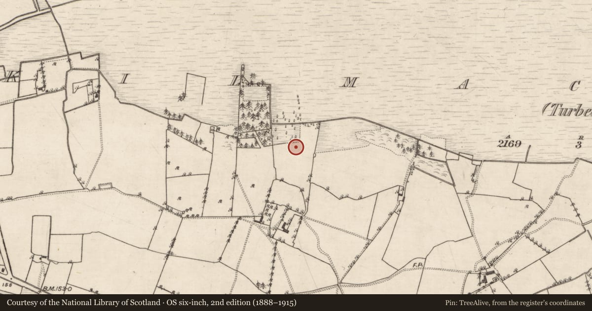 Ordnance Survey six-inch map, 2nd edition (1888–1915) covering the location of Fulacht fia, Kilmacshane (Turbett), County Galway, with a pin at the register's coordinates