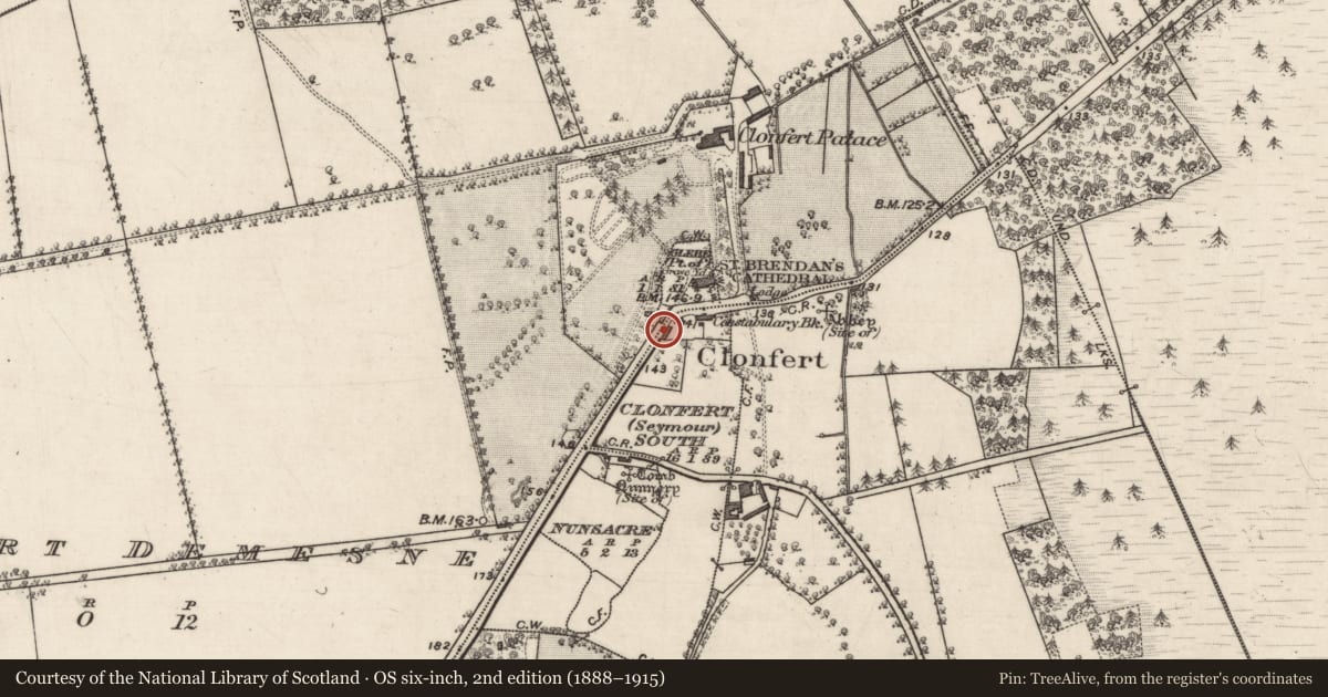Ordnance Survey six-inch map, 2nd edition (1888–1915) covering the location of Ecclesiastical enclosure, Clonfert South (Seymour), County Galway, with a pin at the register's coordinates