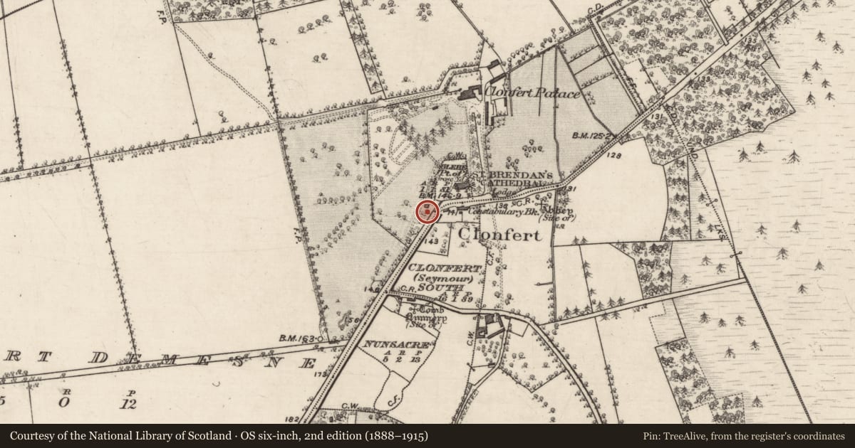 Ordnance Survey six-inch map, 2nd edition (1888–1915) covering the location of Ritual site - holy tree/bush, Clonfert Demesne, County Galway, with a pin at the register's coordinates