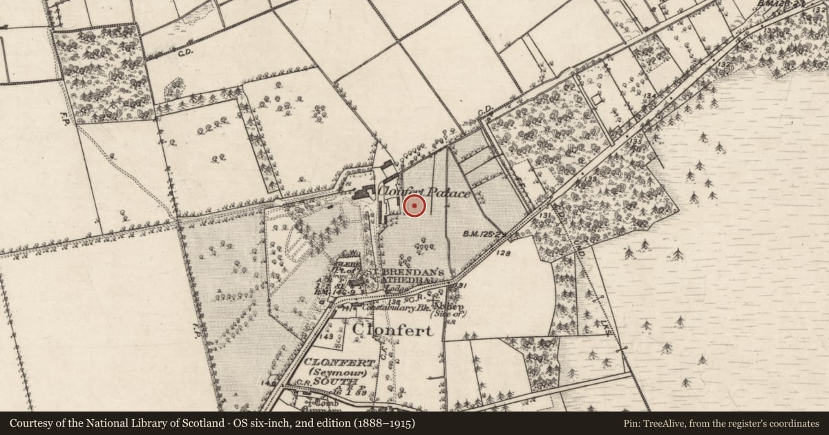 Ordnance Survey six-inch map, 2nd edition (1888–1915) covering the location of Mound, Clonfert Demesne, County Galway, with a pin at the register's coordinates