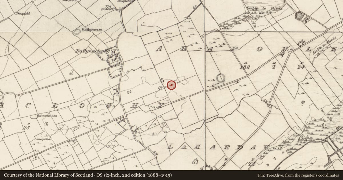 Ordnance Survey six-inch map, 2nd edition (1888–1915) covering the location of Ringfort - rath, Ahapouleen, County Galway, with a pin at the register's coordinates