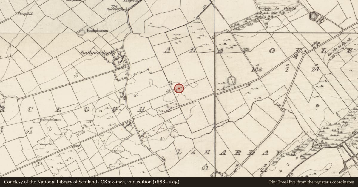 Ordnance Survey six-inch map, 2nd edition (1888–1915) covering the location of Road - road/trackway, Ahapouleen, County Galway, with a pin at the register's coordinates