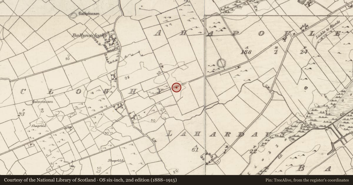 Ordnance Survey six-inch map, 2nd edition (1888–1915) covering the location of Enclosure, Ahapouleen, County Galway, with a pin at the register's coordinates