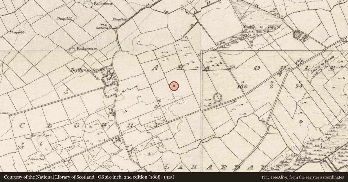 Ordnance Survey six-inch map, 2nd edition (1888–1915) covering the location of Road - road/trackway, Ahapouleen, County Galway, with a pin at the register's coordinates