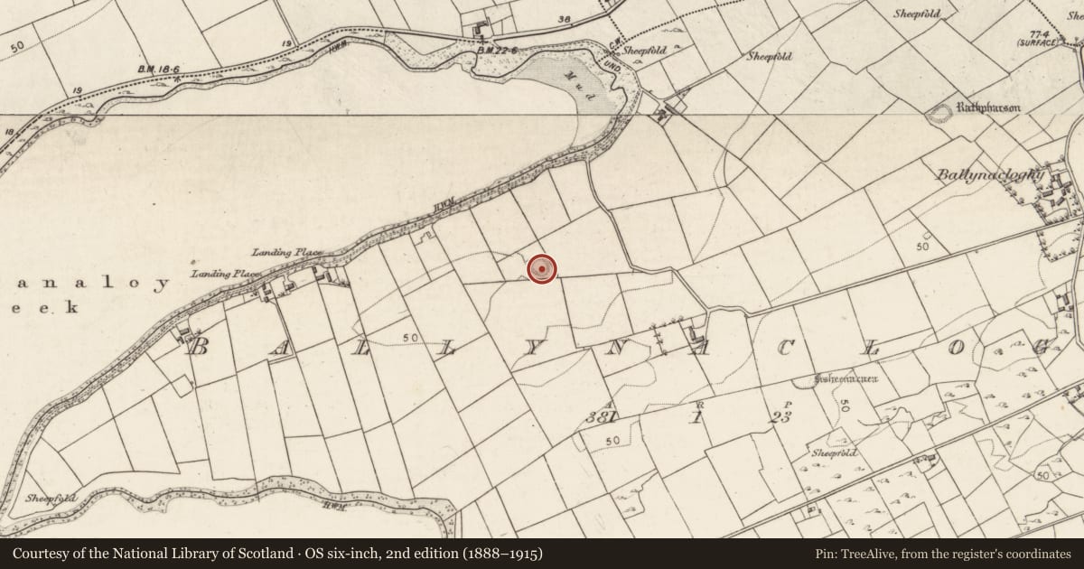 Ordnance Survey six-inch map, 2nd edition (1888–1915) covering the location of Ringfort - rath, Ballynacloghy, County Galway, with a pin at the register's coordinates
