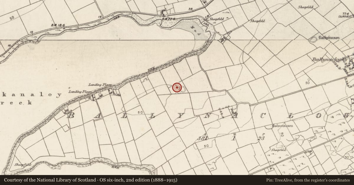 Ordnance Survey six-inch map, 2nd edition (1888–1915) covering the location of Enclosure, Ballynacloghy, County Galway, with a pin at the register's coordinates