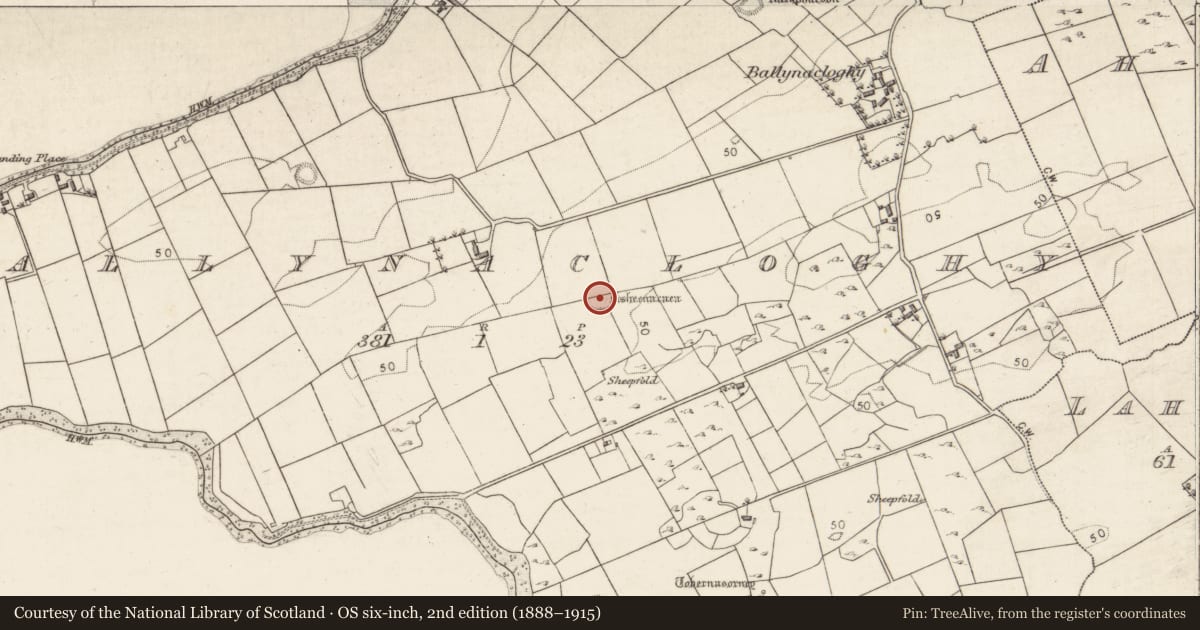 Ordnance Survey six-inch map, 2nd edition (1888–1915) covering the location of Children's burial ground, Ballynacloghy, County Galway, with a pin at the register's coordinates