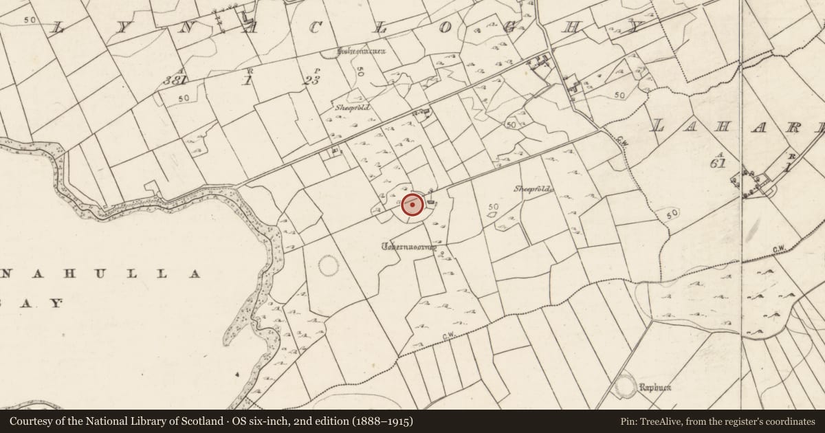 Ordnance Survey six-inch map, 2nd edition (1888–1915) covering the location of Ringfort - cashel, Ballynacloghy, County Galway, with a pin at the register's coordinates
