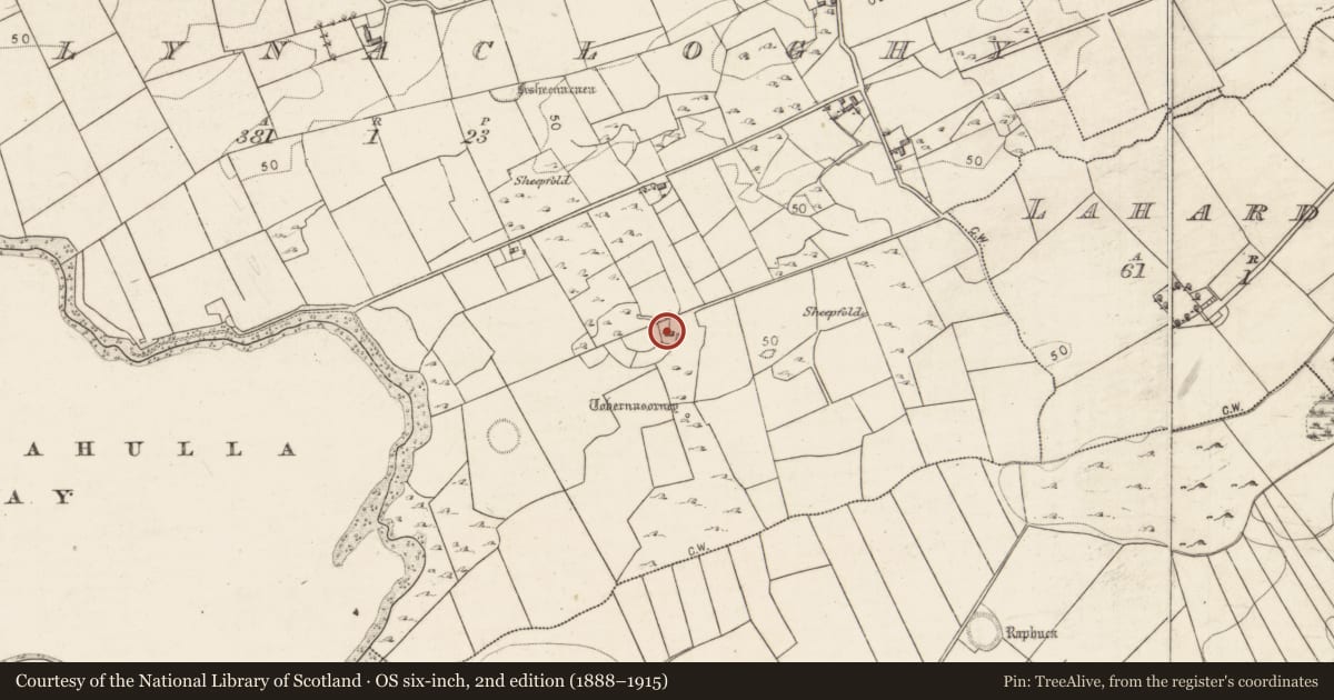 Ordnance Survey six-inch map, 2nd edition (1888–1915) covering the location of Souterrain, Ballynacloghy, County Galway, with a pin at the register's coordinates