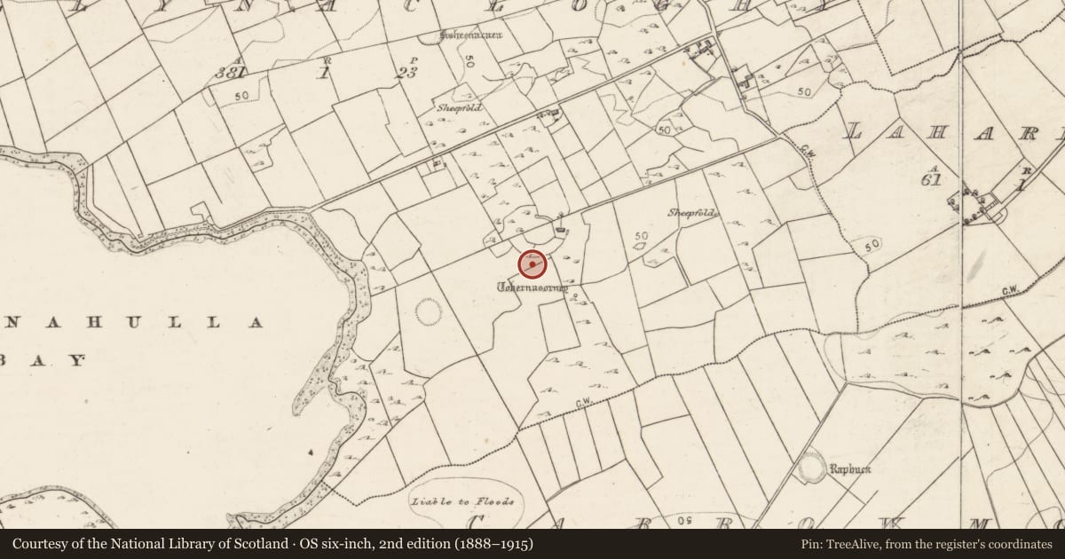 Ordnance Survey six-inch map, 2nd edition (1888–1915) covering the location of Enclosure, Ballynacloghy, County Galway, with a pin at the register's coordinates