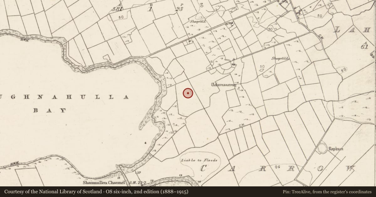 Ordnance Survey six-inch map, 2nd edition (1888–1915) covering the location of Ringfort - cashel, Ballynacloghy, County Galway, with a pin at the register's coordinates