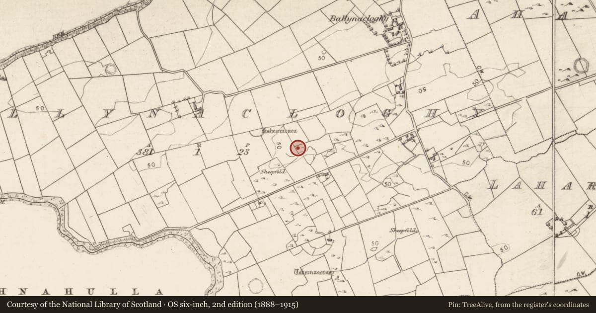Ordnance Survey six-inch map, 2nd edition (1888–1915) covering the location of Enclosure - large enclosure, Ballynacloghy, County Galway, with a pin at the register's coordinates