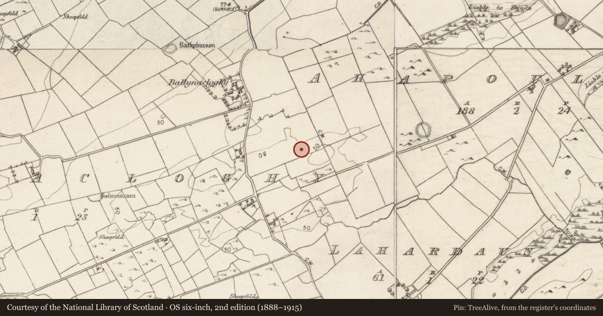 Ordnance Survey six-inch map, 2nd edition (1888–1915) covering the location of Ringfort - cashel, Ballynacloghy, County Galway, with a pin at the register's coordinates