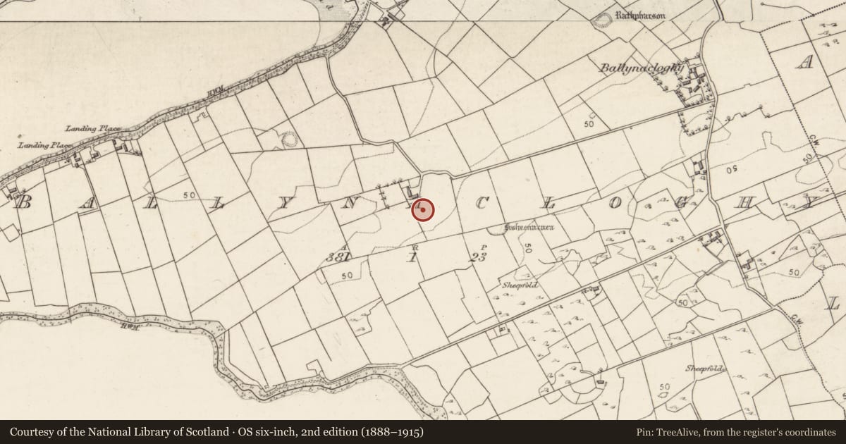 Ordnance Survey six-inch map, 2nd edition (1888–1915) covering the location of Mound, Ballynacloghy, County Galway, with a pin at the register's coordinates