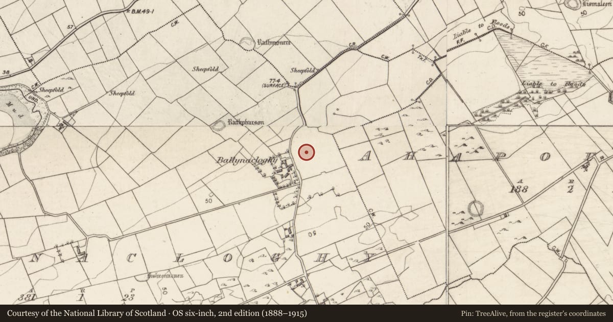 Ordnance Survey six-inch map, 2nd edition (1888–1915) covering the location of Enclosure, Ballynacloghy, County Galway, with a pin at the register's coordinates