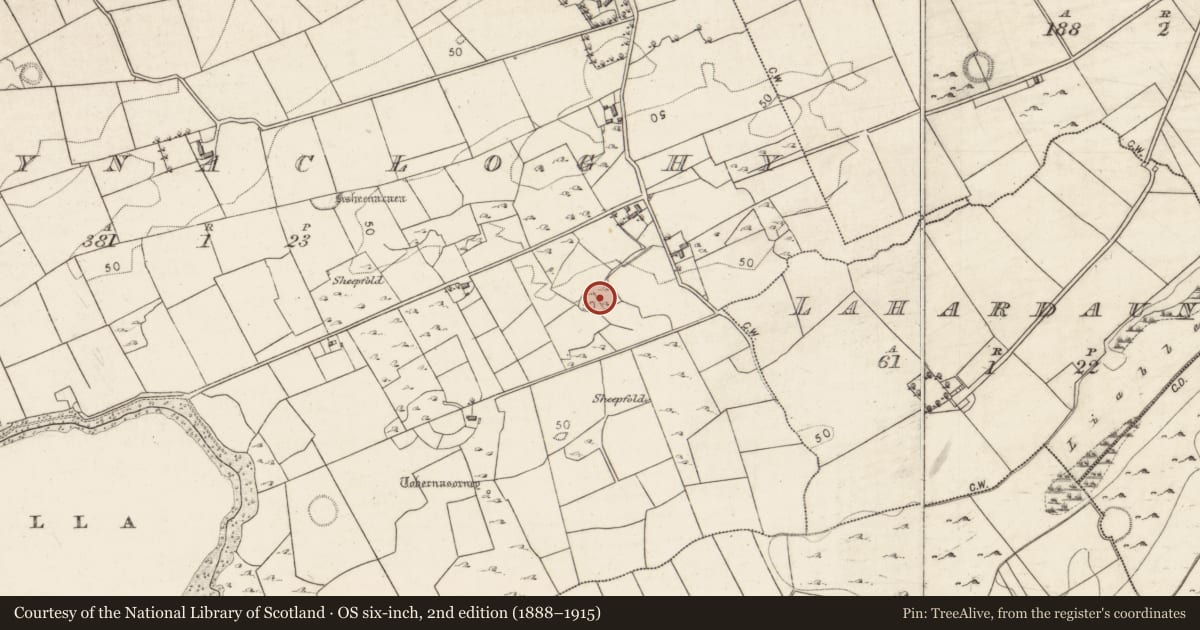 Ordnance Survey six-inch map, 2nd edition (1888–1915) covering the location of Enclosure, Ballynacloghy, County Galway, with a pin at the register's coordinates