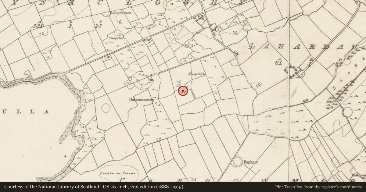 Ordnance Survey six-inch map, 2nd edition (1888–1915) covering the location of Enclosure, Ballynacloghy, County Galway, with a pin at the register's coordinates