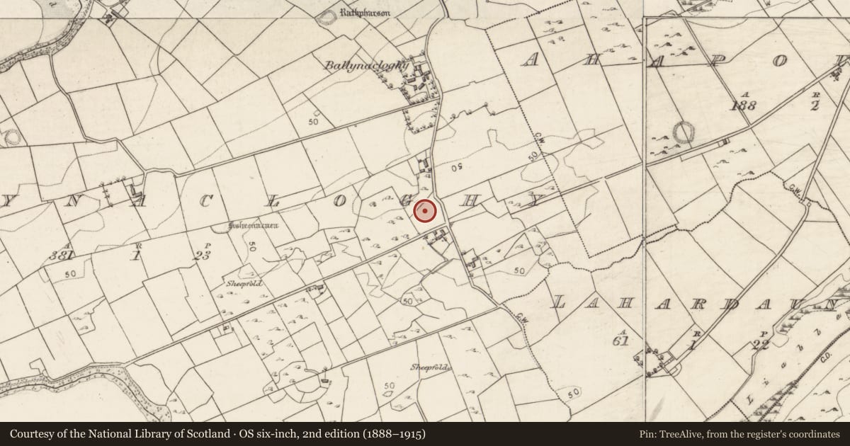 Ordnance Survey six-inch map, 2nd edition (1888–1915) covering the location of Gallows, Ballynacloghy, County Galway, with a pin at the register's coordinates