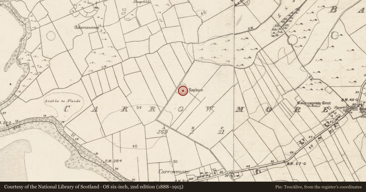 Ordnance Survey six-inch map, 2nd edition (1888–1915) covering the location of Ringfort - rath, Carrowmore (Ballynacourty ED ), County Galway, with a pin at the register's coordinates