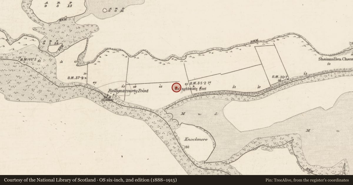 Ordnance Survey six-inch map, 2nd edition (1888–1915) covering the location of Ringfort - rath, Carrowmore (Ballynacourty ED ), County Galway, with a pin at the register's coordinates
